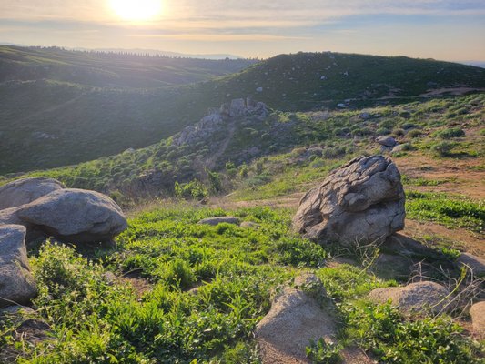 Sycamore Canyon Wilderness Park by null