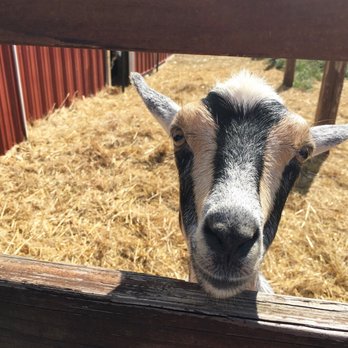 Goat Milk Stuff - Cosmetics & Beauty Supply Near Me - Scottsburg, Indiana