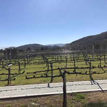 MOHI Ranch - Vineyard views - Wineries Near Me - Morgan Hill, California