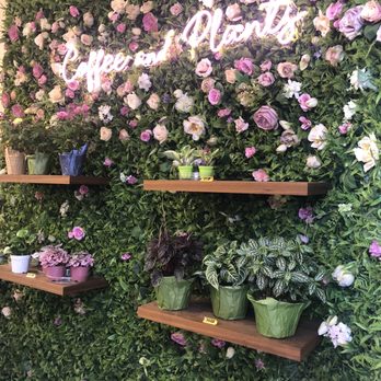 Coffee and Plants - Coffee & Tea Near Me - Pasadena, California