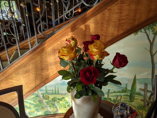 The Rose Hotel by null