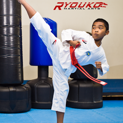 Ryouko Martial Arts - Kicking it to the next level