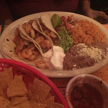 5 Burro Cafe - Shrimp tacos - Mexican Near Me - Forest Hills, New York