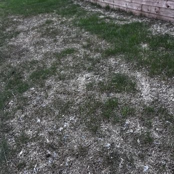 N & T Landscaping Service - Landscaping Near Me - Washington, Michigan N & T Landscaping Service - Landscaping Near Me - Washington, Michigan