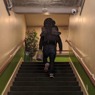 Green Tortoise Hostel Seattle by null