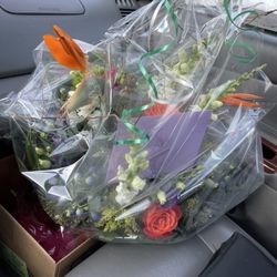 Hours Of Flowers - Showing once I picked them up where they were in the car