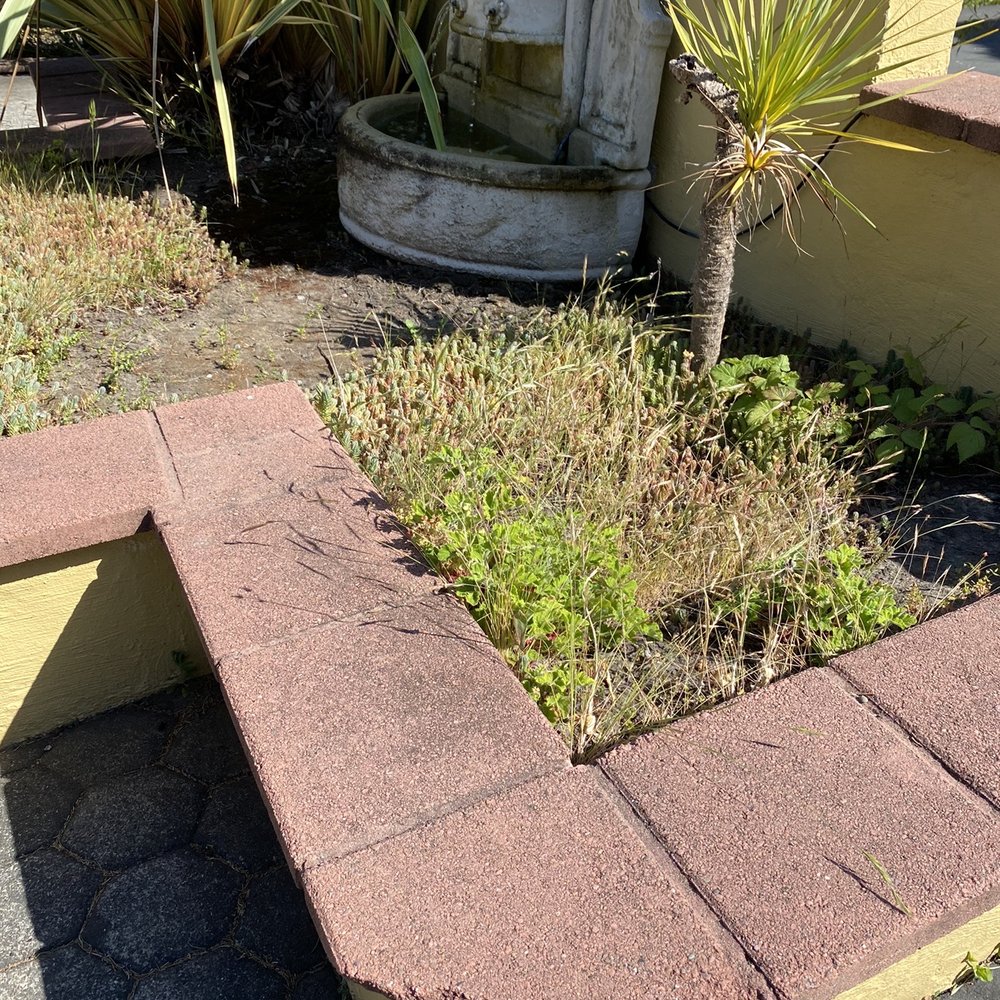 Sonoma Coast Villa - Moldy fountain with weeds at front entrance of hotel - Hotels Near Me - Bodega, California Sonoma Coast Villa - Moldy fountain with weeds at front entrance of hotel - Hotels Near Me - Bodega, California