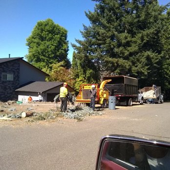 Pacific Coast Tree Experts - Chipping brush in to truck .just starting to clean up job site .while working around other contractors working on house.. - Tree Services Near Me Pacific Coast Tree Experts - Chipping brush in to truck .just starting to clean up job site .while working around other contractors working on house.. - Tree Services Near Me