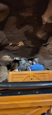 Big Thunder Mountain Railroad by null