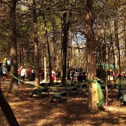 St. Louis Renaissance Festival - One of the wedding areas