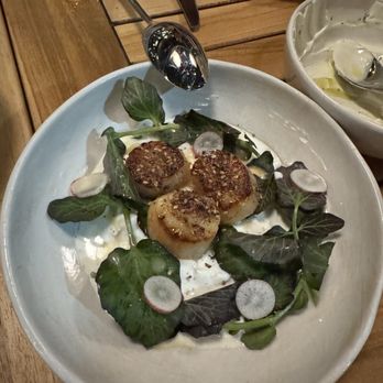 Zaytinya - Scallops - Greek Near Me - Culver City, California