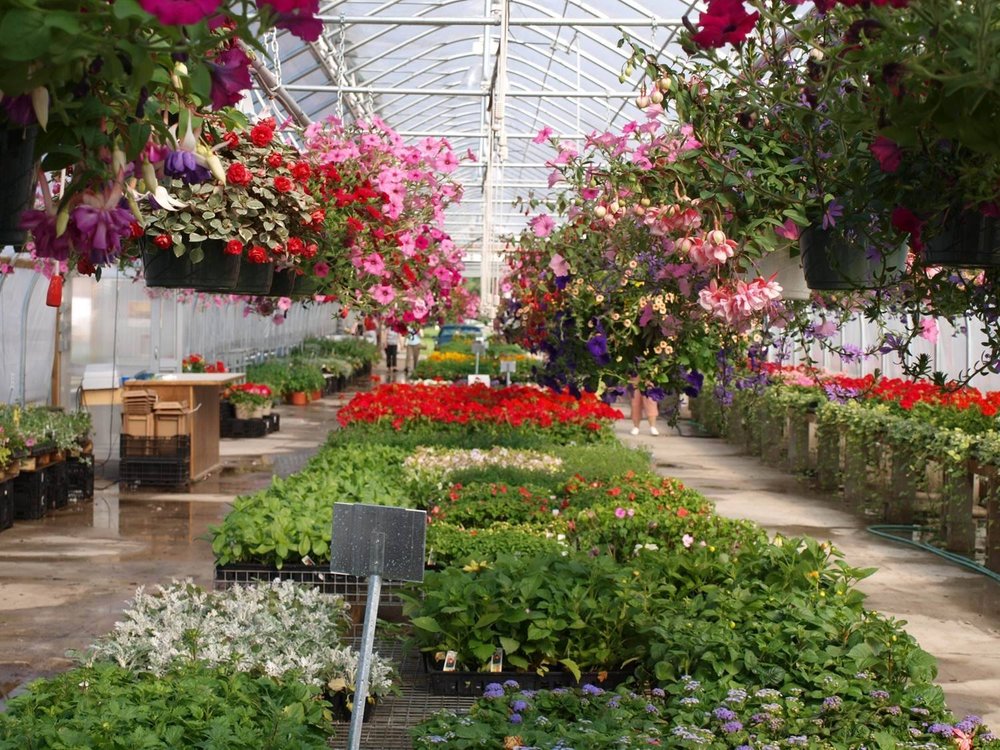 PLEASANT VALLEY GARDENS Updated September 2024 255 Merrimack St