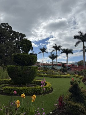 Tree of Tule by null