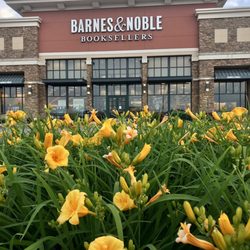 Barnes and Noble Booksellers