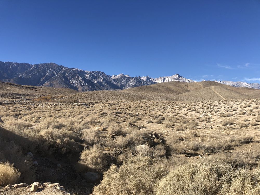 LONE PINE MOBILE OASIS Updated September 2024 20 Photos 2541 US