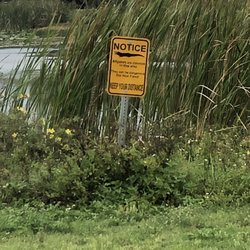 Alligator warning