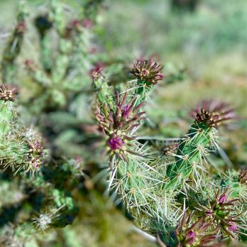 Sonoran Preserve - Hiking Near Me - Phoenix, Arizona