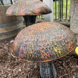 Large mushrooms Large mushrooms