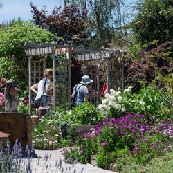 Love's Gardens - A beautiful garden that thrives throughout the dry season with water from a greywater and rainwater systems installed by Love's Gardens.