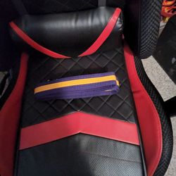 ATA Generations - My purple decided and Leadership belt.