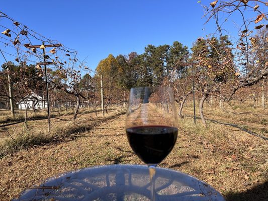 Cloudland Vineyards and Winery by null