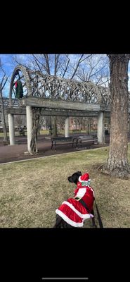 Christopher Columbus Waterfront Park by null