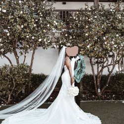Modern Bride - Wedding dress and veil