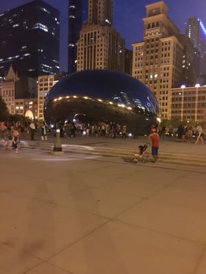 MILLENNIUM GARAGES - GRANT PARK NORTH GARAGE - Updated August 2025 - 53