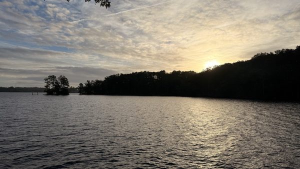 Dreher Island State Park by null