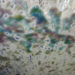 Getting rid of the bugs and grime!