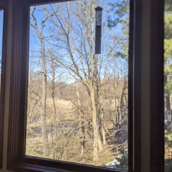 Shockley Richard A DDS - The view!