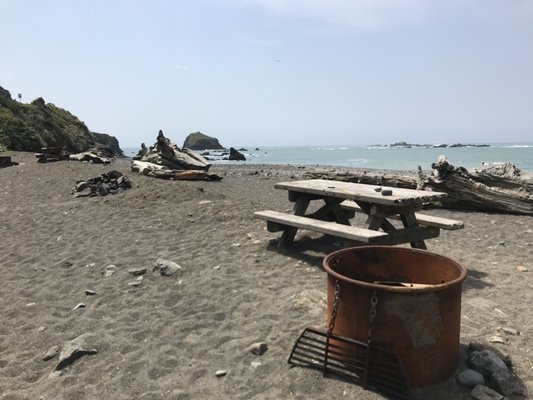 Pygmy Forest Discovery Trail by null