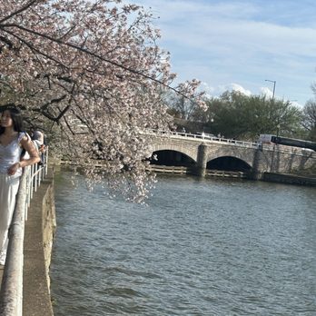 Tidal Basin - Lakes Near Me - Washington, DC, District of Columbia