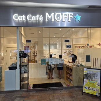 Cat Cafe MOFF Pearlridge Center - Store - Themed Cafes Near Me - Aiea, Hawaii Cat Cafe MOFF Pearlridge Center - Store - Themed Cafes Near Me - Aiea, Hawaii