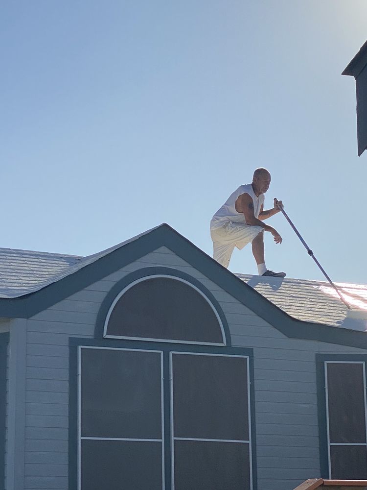 HORNS PAINTING Updated September 2024 24 Photos Yuma, Arizona