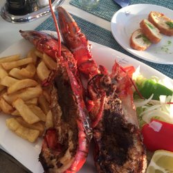 Marisqueria Internacional - Hummer