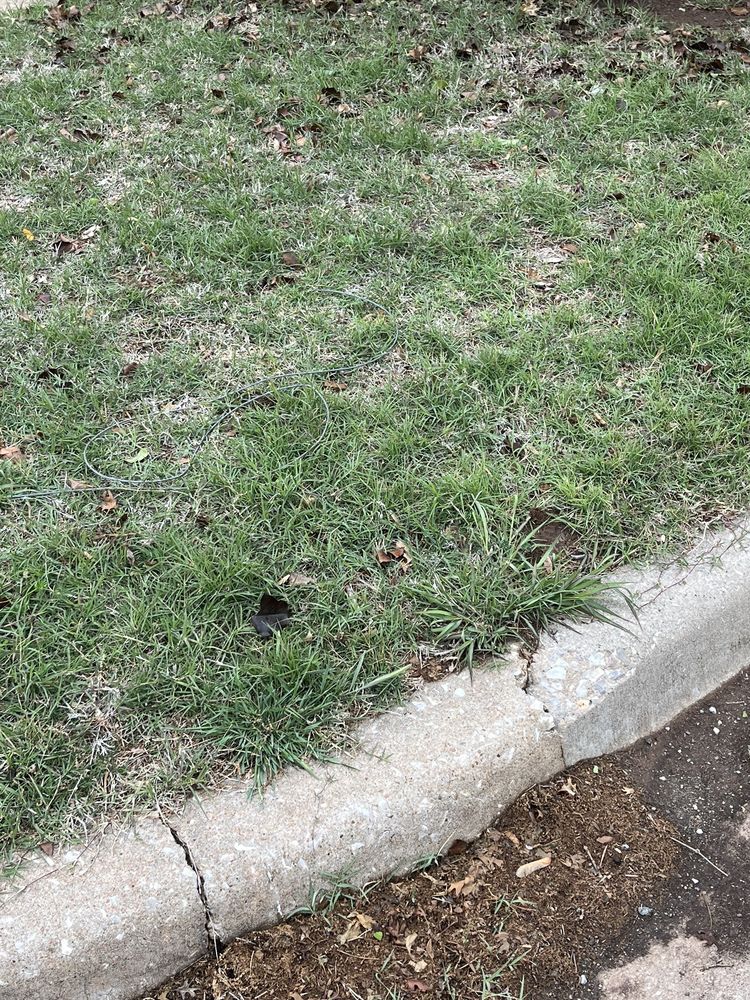 SPRING GREEN Updated October 2024 26 Photos & 22 Reviews 129 W 1st St, Edmond, Oklahoma