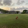 Photo of Aina Koa Neighborhood Park