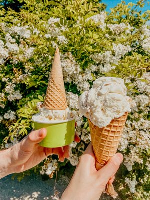 Willard Scoops by null