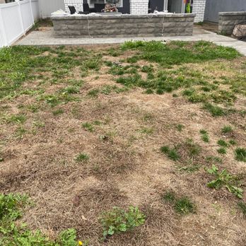 RP Synthetic Turf - Lawn - Artificial Turf Near Me - Fontana, California RP Synthetic Turf - Lawn - Artificial Turf Near Me - Fontana, California