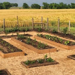 YardFarm - We love this garden we built in the New Sweden area near Manor. Surrounded by wheat fields, this garden is a dream.