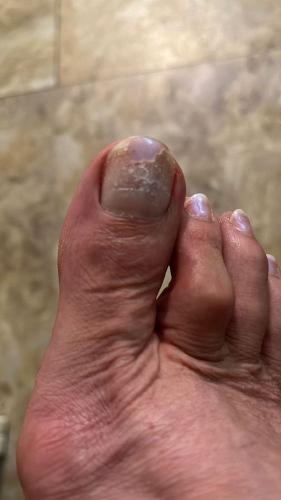 VENUS NAILS Updated October 2024 17 Reviews 1278 Smallwood Dr W