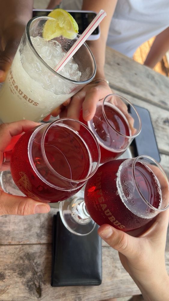 Ponysaurus Brewing Co