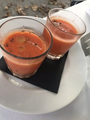 Terra di Vino by null