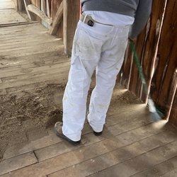 Avellas Cleaning
