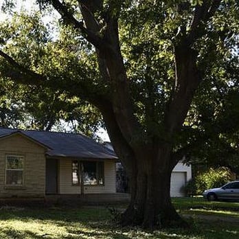 Gator Tree Care - Tree Services Near Me Gator Tree Care - Tree Services Near Me