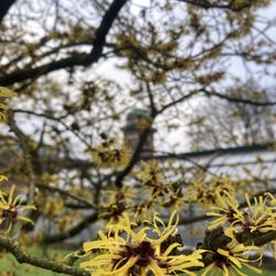 Botanischer Garten der Universität Oldenburg