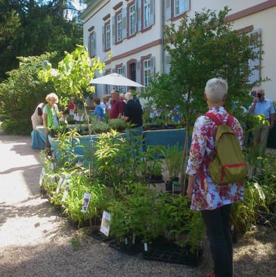 Schau- und Sichtungsgarten Hermannshof by null