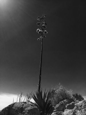 Apache Trail by null