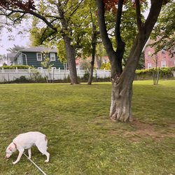 Eddie Foy Park
